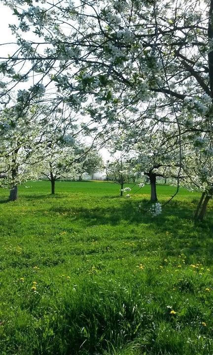 Grüne Oase Tiergarten Nürnberg